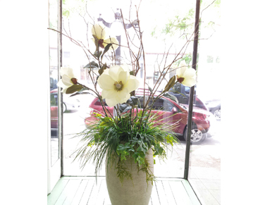 Maddie's Cafe Photo 9